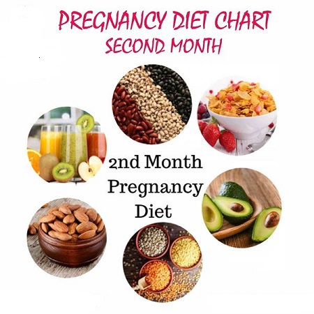 تغذیه بارداری, تغذیه بارداری ماه دوم, توصیه های پزشکی جهت تغذیه بارداری