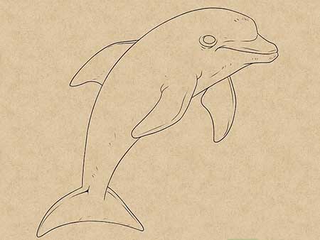 نقاشی دلفین,نحوه کشیدن نقاشی دلفین,آموزش کشیدن نقاشی دلفین