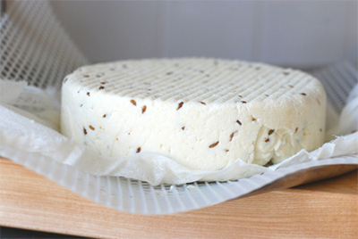 مواد لازم برای پنیر خانگی,طرز تهیه پنیر زیره