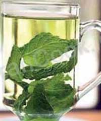 داروهای گیاهی,گیاهان دارویی داروهای گیاهی,گیاهان دارویی