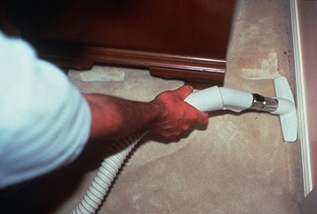 تاکتیک های پیشگیری از سوسک فرش