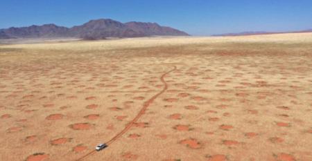 صحرای نامیبیا،اخبار علمی،خبرهای علمی