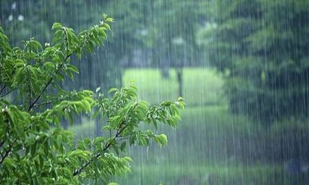 بارش باران،اخبار اجتماعی،خبرهای اجتماعی