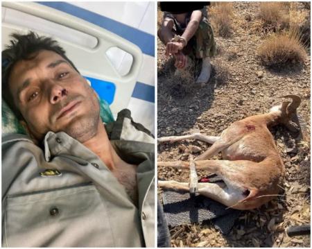 تیراندازی شکارچیان غیرمجاز به سمت محیط‌بانان در شاهرود،اخبار اجتماعی،خبرهای اجتماعی