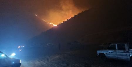 آتش سوزی درپاوه،اخبار اجتماعی،خبرهای اجتماعی