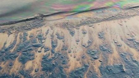 آلودگی نفتی در خلیج‌ فارس،اخبار اجتماعی،خبرهای اجتماعی