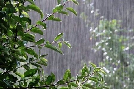 باد شدید و باران در نقاط مختلف کشور،اخبار اجتماعی،خبرهای اجتماعی