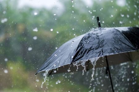 بارش باران،اخبار اجتماعی،خبرهای اجتماعی