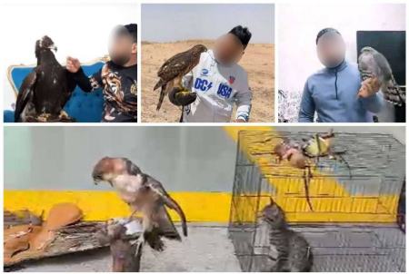 قاچاقچی گونه های حیات وحش ملقب به دکتر عقاب،اخبار اجتماعی،خبرهای اجتماعی