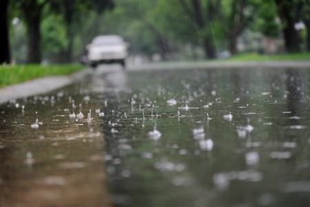 باران،اخبار اجتماعی،خبرهای اجتماعی