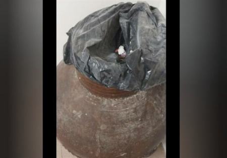 سطل زباله خبرساز در موزه باستان‌شناسی رشت،اخبار اجتماعی،خبرهای اجتماعی