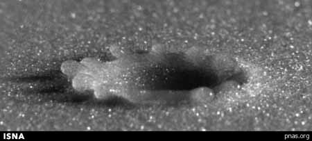 اخبار,اخبار علمی,چگونگی برخورد قطرات باران با زمین اخبار,اخبار علمی,چگونگی برخورد قطرات باران با زمین