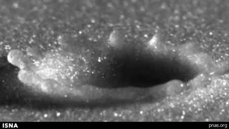 اخبار,اخبار علمی,چگونگی برخورد قطرات باران با زمین اخبار,اخبار علمی,چگونگی برخورد قطرات باران با زمین