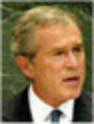 جورج دبليو بوش