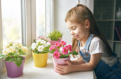 گیاهان خانگی خطرناک,انواع گیاهان خطرناک برای کودکان