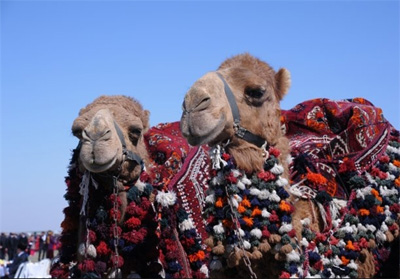 آداب و رسوم مردم ترکمنستان, فرهنگ زندگی