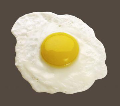 سفیده ی تخم مرغ,خواص سفیده ی تخم مرغ