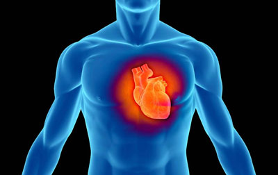 عوامل ایجاد سکته قلبی, ورزش‌های بدنسازی