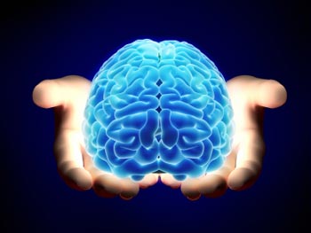 مغز, تقویت مغز, عوامل موثر در کاهش قدرت مغز
