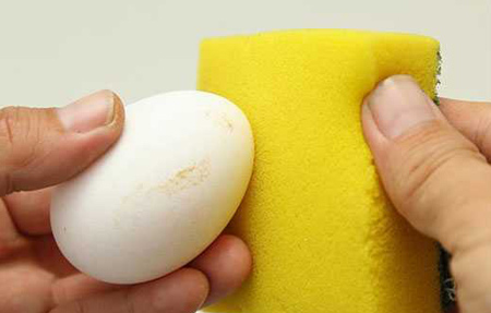 شستشوی تخم مرغ,ضد عفونی تخم مرغ