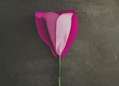 ساخت گل رز کاغذی, آموزش تصویری ساخت گل رز کاغذی