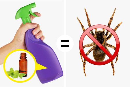 مواد طبیعی دافع حشرات,روغن های دفع کننده حشرات