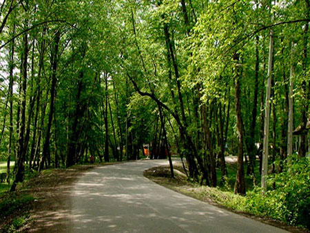 پارک جنگلی کشپل,پارک کشپل,عکسهای جنگل کشپل