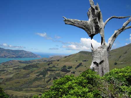 گشت و گذار در طبیعت وحشی نیوزیلند,نیوزیلند,مکانهای تفریحی نیوزیلند