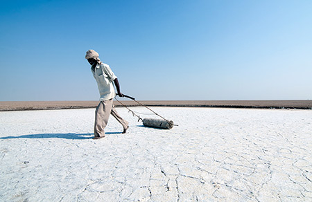 کویر نمکی هند,صحرای نمک هند,کویر نمکی هند از عجایب دیدنی هند