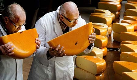 تصاوير,تصاوير زيبا,تصاوير روز,کارخانه پنیر ,هلند,عکس
