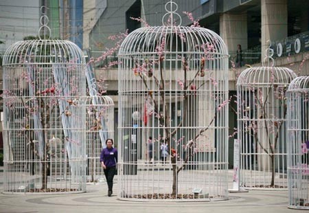  قفس های بزرگ پرندگان در میدانی در نانجینگ چین