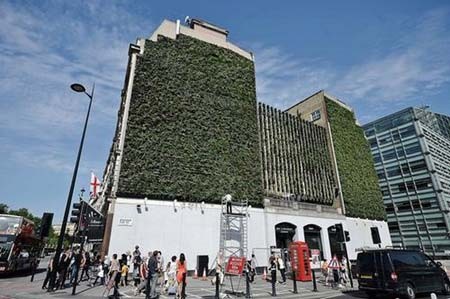 بزرگ ترین دیوار سبز لندن