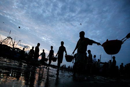 ماهیگیران در حال انتقال صید روزانه خود به ساحل- چنای، هند