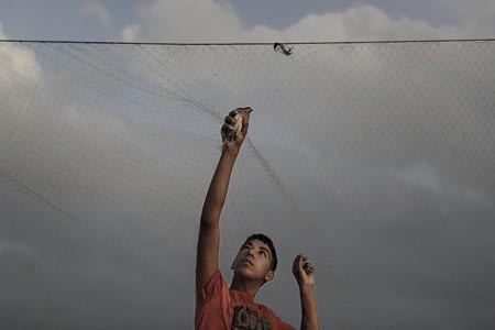 تلاش پسر بچه فلسطینی در خان یونس برای آزادی پرنده گرفتار در تور