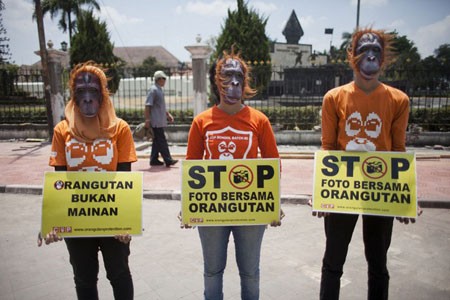 گرامیداشت روز جهانی حیوانات از سوی فعالان حقوق حیوانات در اندونزی