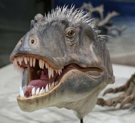 تیرانوسور، نمونه نادر کشف شده در یوتای امریکا و به نمایش در آمده در موزه سالت لیک سیتی