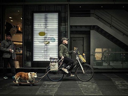 عکسهای جالب,عکسهای جذاب,دوچرخه سواری 