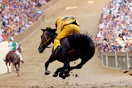 عکسهای جالب,عکسهای جذاب,مسابقات اسب سواری