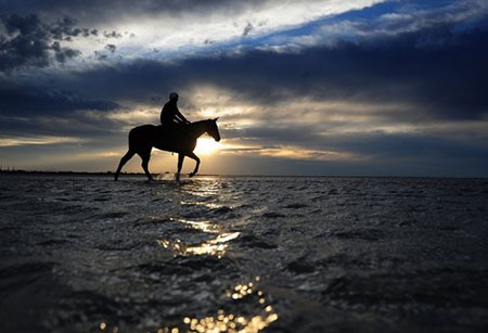 عکسهای جالب,عکسهای جذاب,اسب سواری
