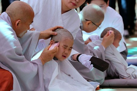 عکسهای جالب,عکسهای جذاب,تراشیدن سر راهبان