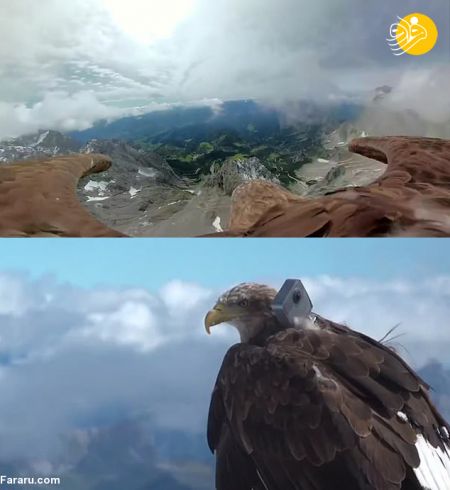 اخبار,اخبارگوناگون,رشته کوه آلپ از چشم‌های یک عقاب