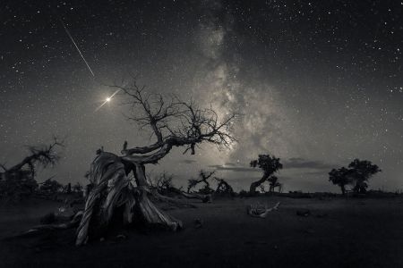 اخبار,اخبارعلمی وآموزشی, آسمان شب را از نگاه برترین عکاسان ۲۰۱۹