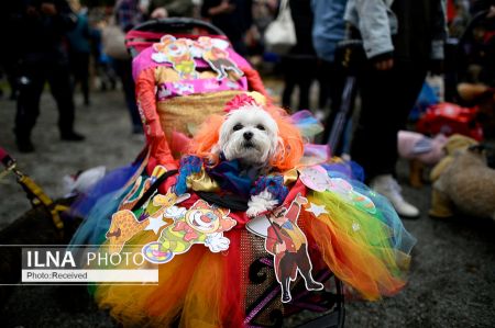 اخبار,اخبار گوناگون,رژه سگ‌های هالووین در نیویورک