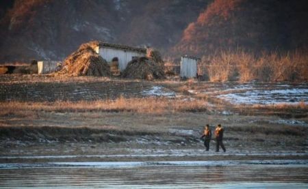 اخبار,اخبار گوناگون,تولید کود طبیعی در کره‌شمالی