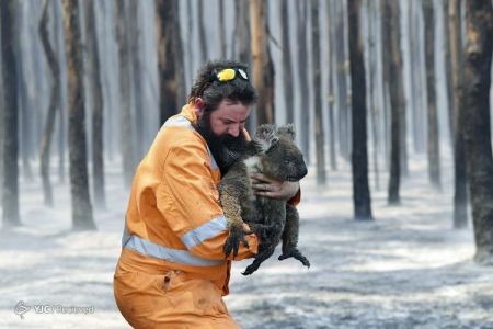 اخبار,اخبار گوناگون,آتش‌سوزی استرالیا