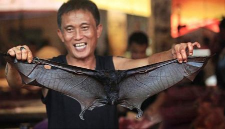 اخبار,اخبار گوناگون,استقبال مردم اندونزی از گوشت خفاش با وجود کرونا!