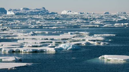  اخبار علمی ,خبرهای علمی,قطب جنوب