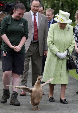 عکسهای جالب,عکسهای جذاب,ملکه بریتانیا 