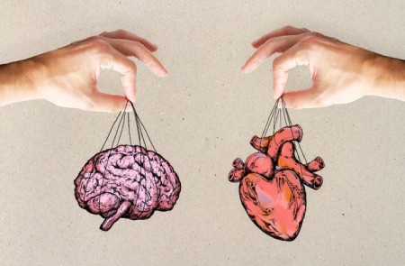 انسان با قلبش عاشق میشه یا مغزش