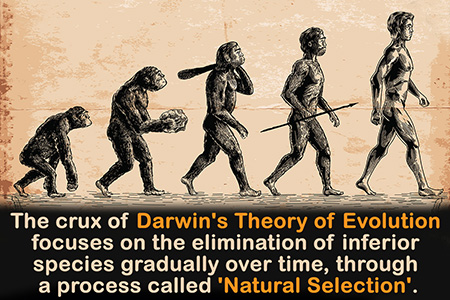 نظریه داروین,داروین